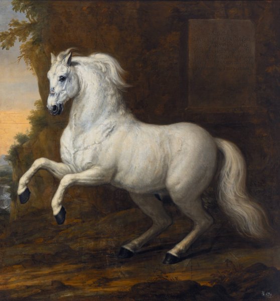 Karl XIs livhast Kortom  by David Klocker Ehrenstrahl - Hand-Painted Oil Painting Reproduction