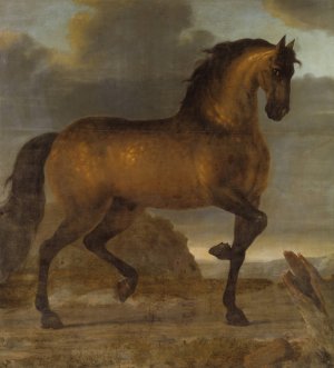 Karl XIs livhast Stenbock by David Klocker Ehrenstrahl Oil Painting