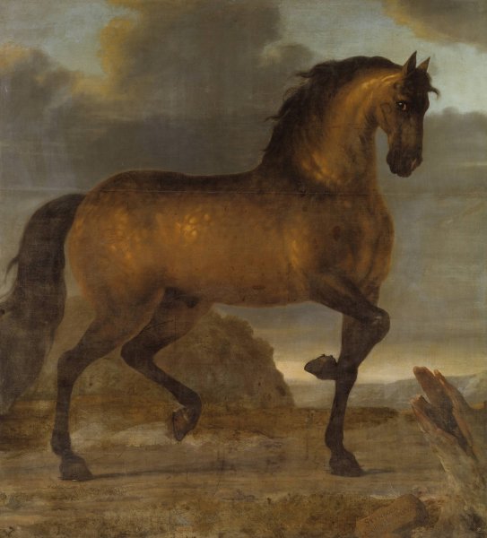 Karl XIs livhast Stenbock  by David Klocker Ehrenstrahl - Hand-Painted Oil Painting Reproduction