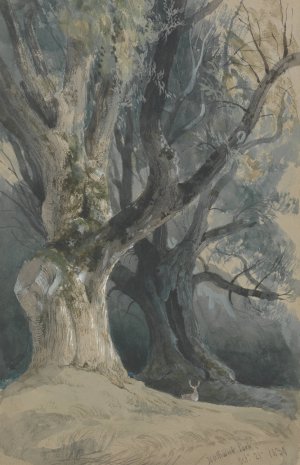 Trees in Northwick Park by David Roberts Oil Painting