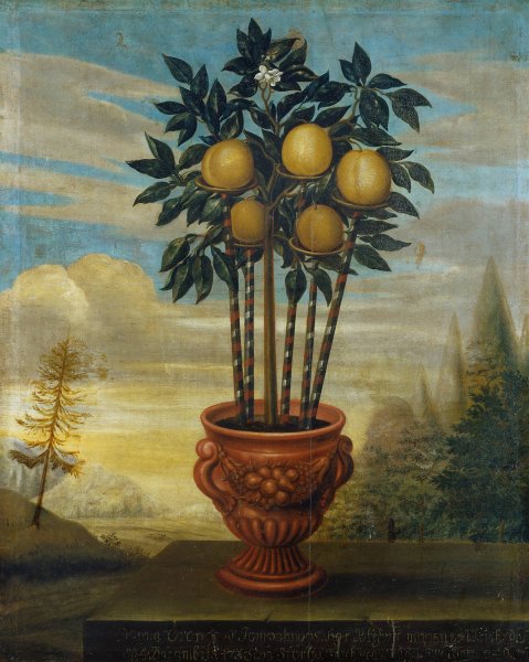 Orangetrad i urna  by David Von Coln - Hand-Painted Oil Painting Reproduction