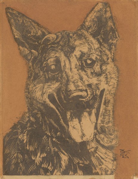 Cees, portret van een hond  by Dick Ket - Hand-Painted Oil Painting Reproduction