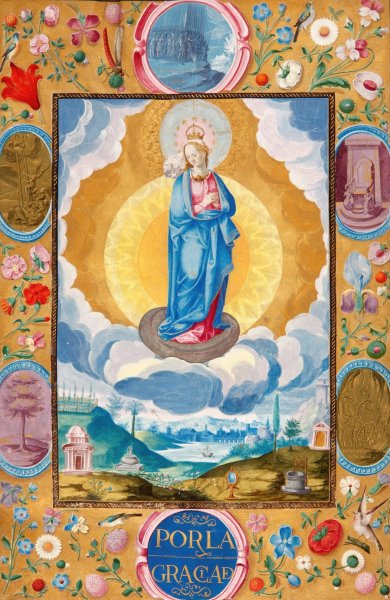 Main Product Photo of Immacule Conception in Enforceable Charter of chivalry of Arias Pardo de Cela  Painting by Diego Gomez