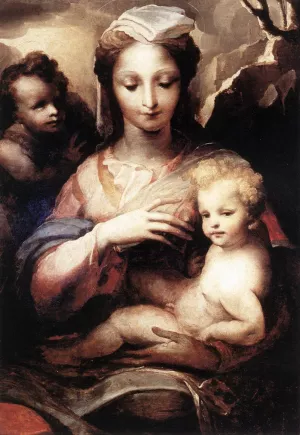 Madonna with the Infant Christ and St John the Baptist by Domenico Beccafumi Oil Painting