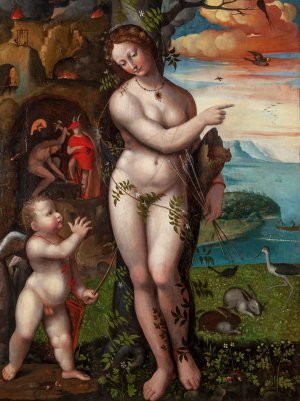 Venus and Cupid by Domenico Beccafumi Oil Painting