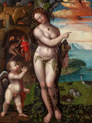 Venus and Cupid by Domenico Beccafumi Oil Painting
