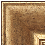 DR753 (Frame)