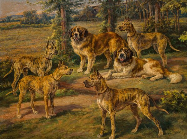 Main Product Photo of Harold Lloyd's Dogs  Painting by Edmund Henry Osthaus