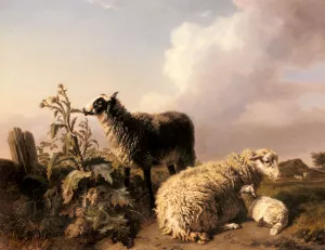 Les Moutons by Edmond Jean Baptiste Tschaggeny Oil Painting