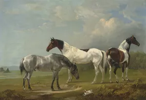 Two Skewbalds, a grey and spaniel in an extensive landscape, a country house beyond Oil painting by Edmund Bristow