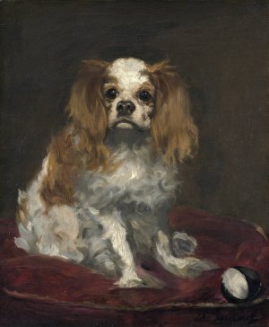 A King Charles Spaniel by Edouard Manet Oil Painting