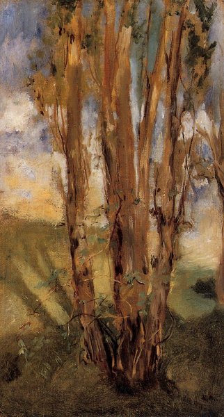 Main Product Photo of Study of Trees Painting by Edouard Manet