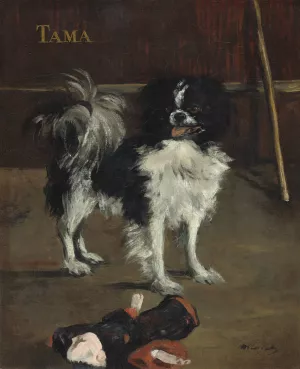 Tama, the Japanese Dog by Edouard Manet Oil Painting