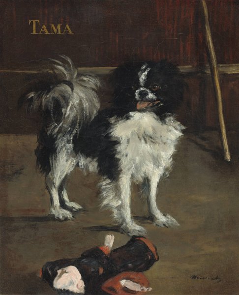 Tama, the Japanese Dog  by Edouard Manet - Hand-Painted Oil Painting Reproduction