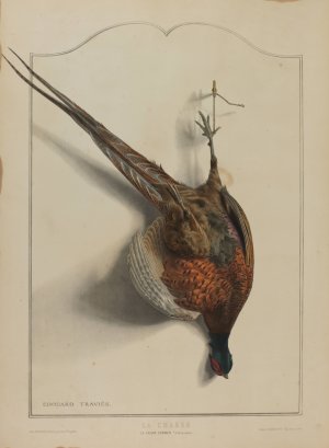 La Chasse; Le Faisan Commun by Edouard Travies Oil Painting
