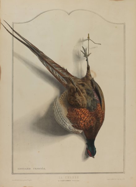 Main Product Photo of La Chasse; Le Faisan Commun Painting by Edouard Travies
