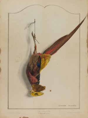 La Chasse; Le Faisan Dore by Edouard Travies Oil Painting
