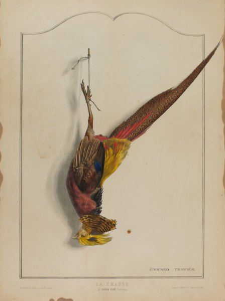 Main Product Photo of La Chasse; Le Faisan Dore Painting by Edouard Travies