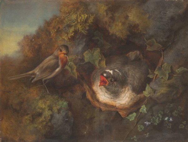 Bird Feeding  by Eduard De Maes - Hand-Painted Oil Painting Reproduction