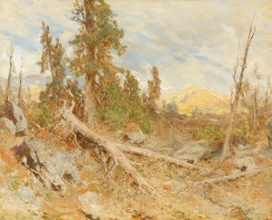 Windthrow by Eduard Peithner Von Lichtenfels Oil Painting