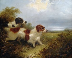 Two Terriers by Edward Armfield Oil Painting