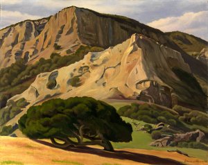 Oaks and Rocks-San Luis Obispo by Edward Bruce Oil Painting