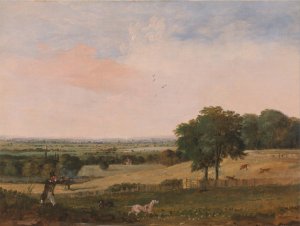 Partridge Shooting by Edward Duncan Oil Painting