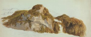 Study of Rocks Covered with Seaweed by Edward Duncan Oil Painting