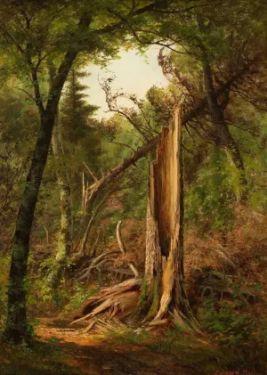 Woodland Interior by Edward Hill Oil Painting
