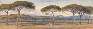 A View of the Pine Woods Above Cannes by Edward Lear Oil Painting