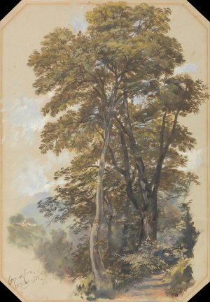 Corpo di Cava, 28 June 1838 by Edward Lear Oil Painting