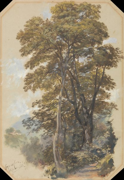 Main Product Photo of Corpo di Cava, 28 June 1838 Painting by Edward Lear