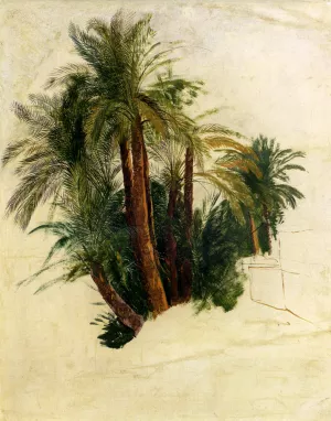 Study of Palm Trees painting by Edward Lear