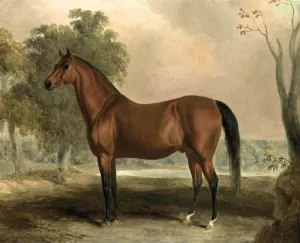 Bertrand, by Sir Archy by Edward Troye - Oil Painting Reproduction