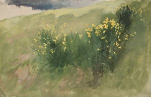 Landscape with wildflowers by Edwin Austin Abbey Oil Painting