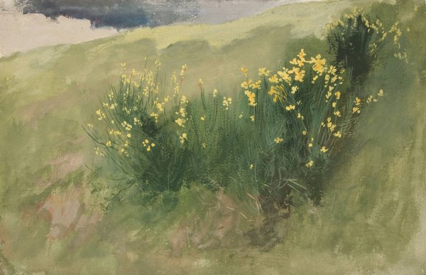 Landscape with wildflowers by Edwin Austin Abbey - Hand-Painted Oil Painting Reproduction