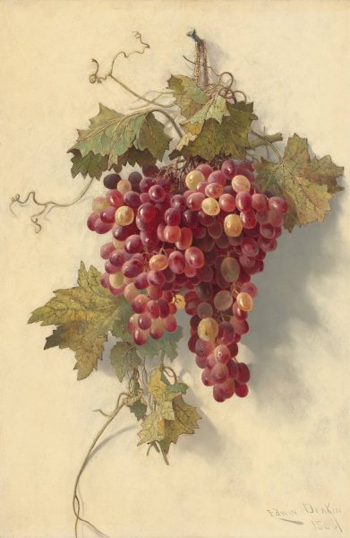Grapes Against White Wall by Edwin Deakin - Hand-Painted Oil Painting Reproduction