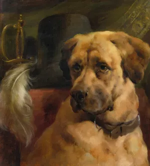 The Head Of A Mastiff by Edwin Douglas Oil Painting