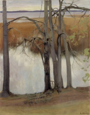 Lake Shore with Reeds by Eero Jarnefelt Oil Painting