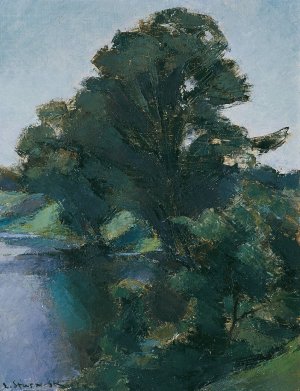 Baume am Wasser by Egge Sturm-Skrla Oil Painting