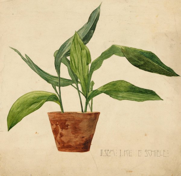Main Product Photo of Topfpflanze  Painting by Egon Schiele