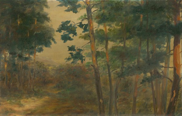 Forest view  by Elemir Halasz-Hradil - Hand-Painted Oil Painting Reproduction