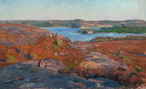 Landscape. Fjaras, Halland by Elias Erdtman Oil Painting
