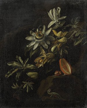 Still Life with Passionflowers by Elias Van Den Broeck Oil Painting