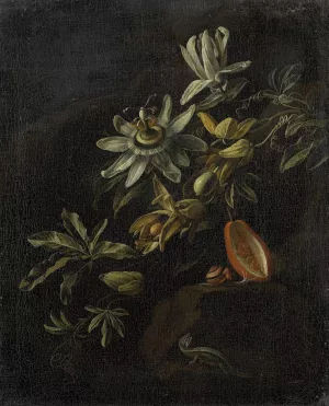Still Life with Passionflowers by Elias Van Den Broeck Oil Painting