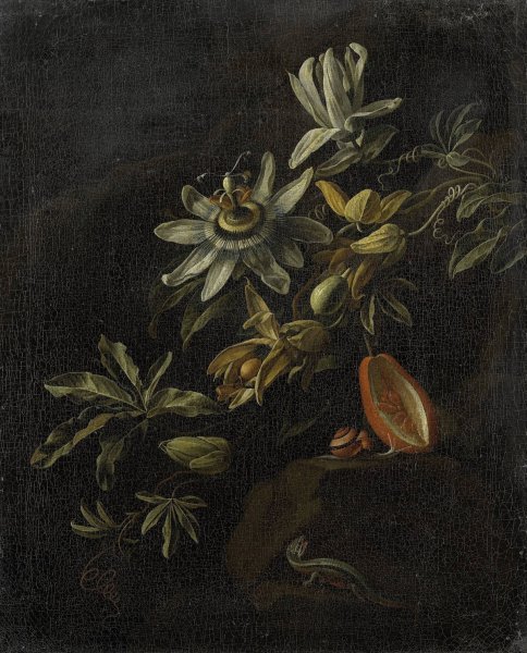 Main Product Photo of Still Life with Passionflowers  Painting by Elias Van Den Broeck