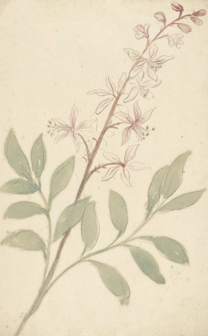 Bloemstudie by Elias Van Nijmegen Oil Painting