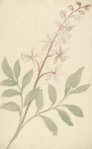 Bloemstudie by Elias Van Nijmegen Oil Painting