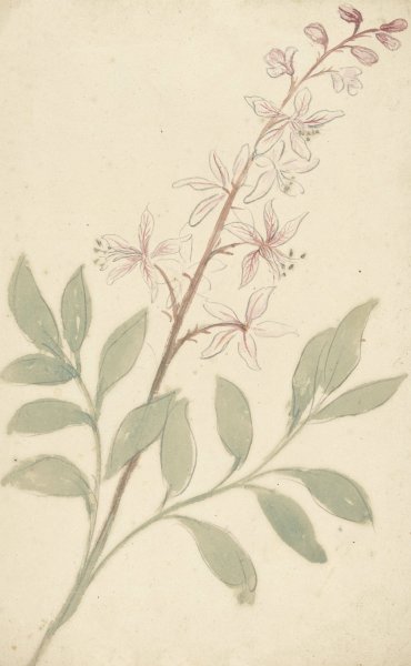 Bloemstudie  by Elias Van Nijmegen - Hand-Painted Oil Painting Reproduction