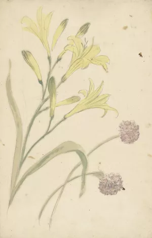 Bloemstudies van een gele lelie en een bloeiende ui by Elias Van Nijmegen Oil Painting